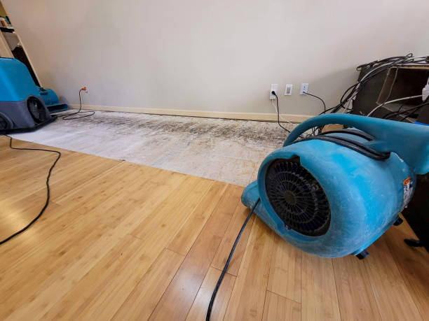 Professional Structural Drying technician working in Gilberton, PA
